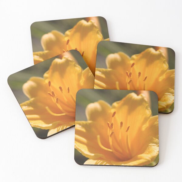 Item preview, Summer Orange Lily designed and sold by KsbAesthetics.