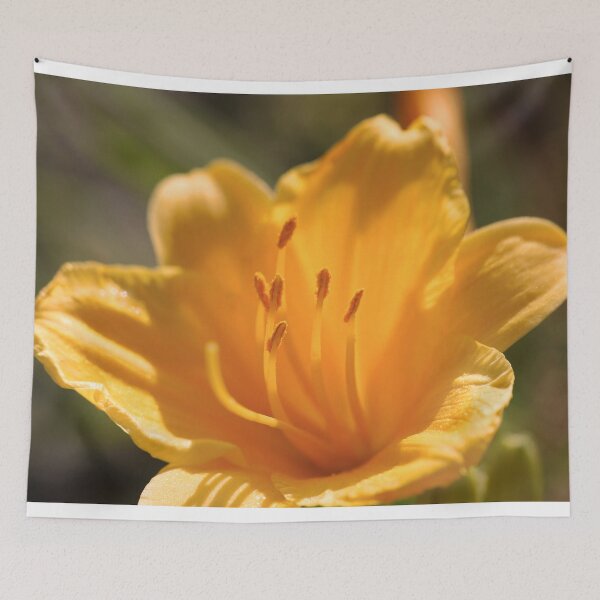 Item preview, Summer Orange Lily designed and sold by KsbAesthetics.
