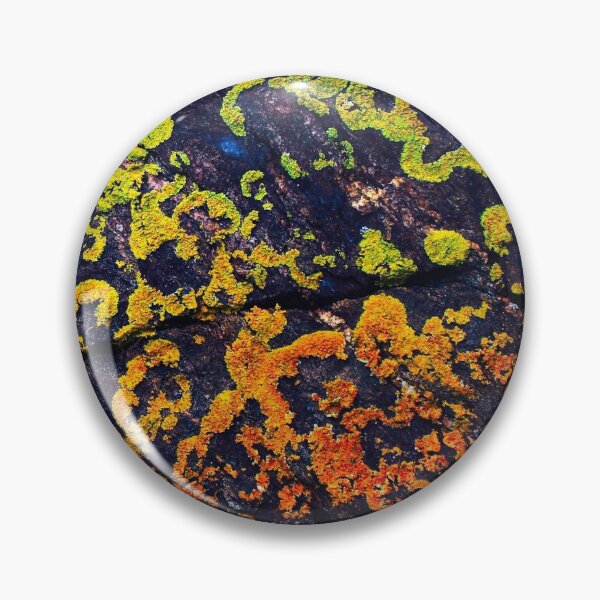 Item preview, Rainbow Lichen designed and sold by Scopipodd.