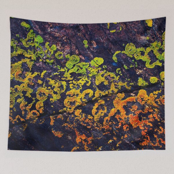 Item preview, Rainbow Lichen designed and sold by Scopipodd.