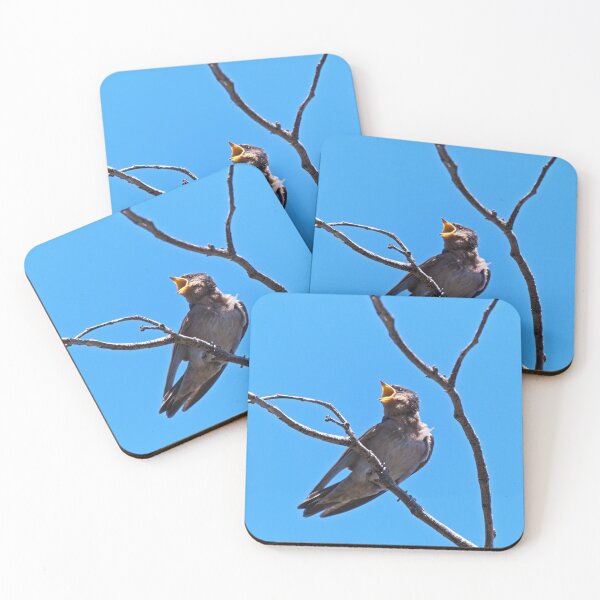 Item preview, Hungry tree swallow juvenile  designed and sold by hendrikspix.