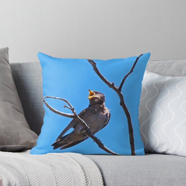Item preview, Hungry tree swallow juvenile  designed and sold by hendrikspix.