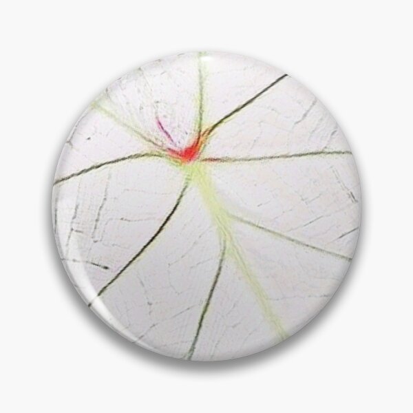 Item preview, CALADIUM CANDIDUM Leaf My Life designed and sold by kimcrunner.