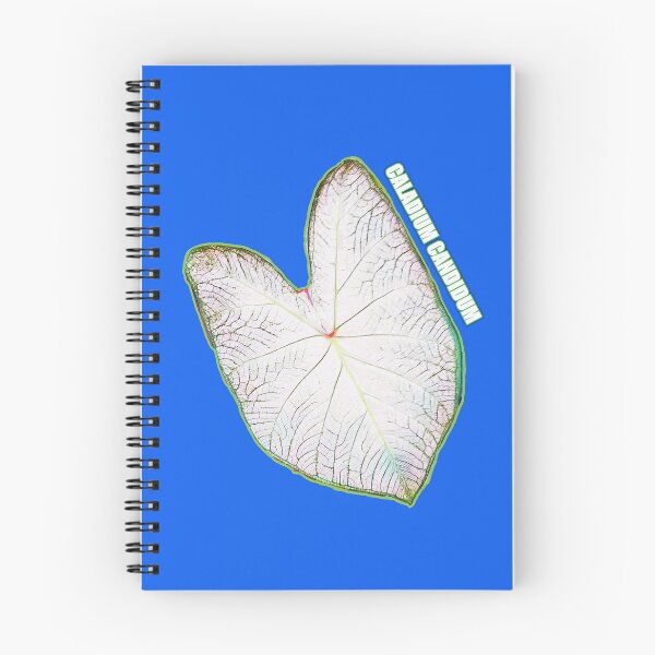 Item preview, CALADIUM CANDIDUM Leaf My Life designed and sold by kimcrunner.
