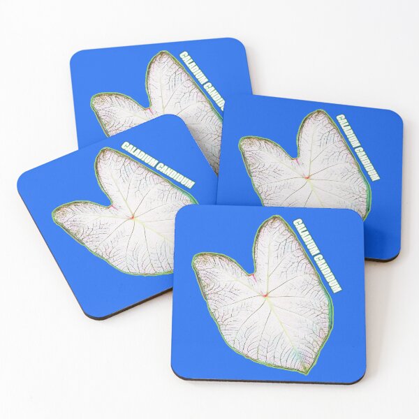 Item preview, CALADIUM CANDIDUM Leaf My Life designed and sold by kimcrunner.