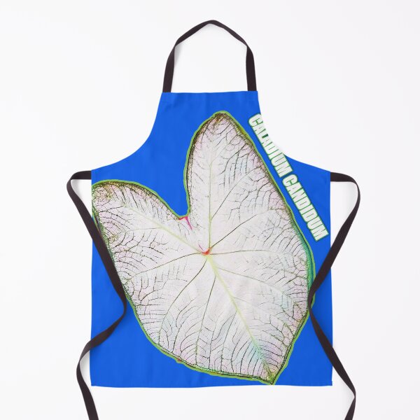 Item preview, CALADIUM CANDIDUM Leaf My Life designed and sold by kimcrunner.