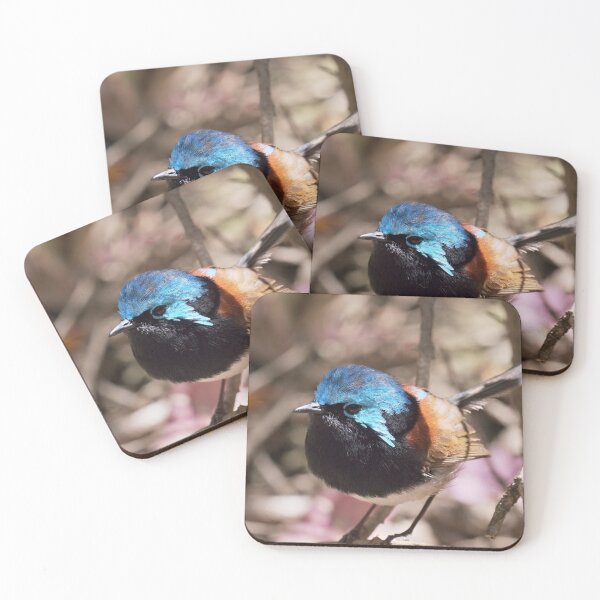 Item preview, Friendly detailed male Red-winged fairywren extreme closeup designed and sold by hendrikspix.