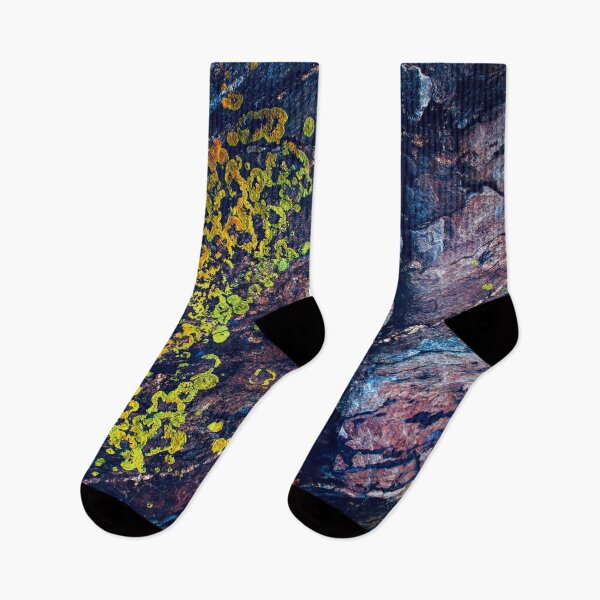 Aperçu de l'œuvre Rainbow Lichen 3 créée et vendue par Scopipodd.