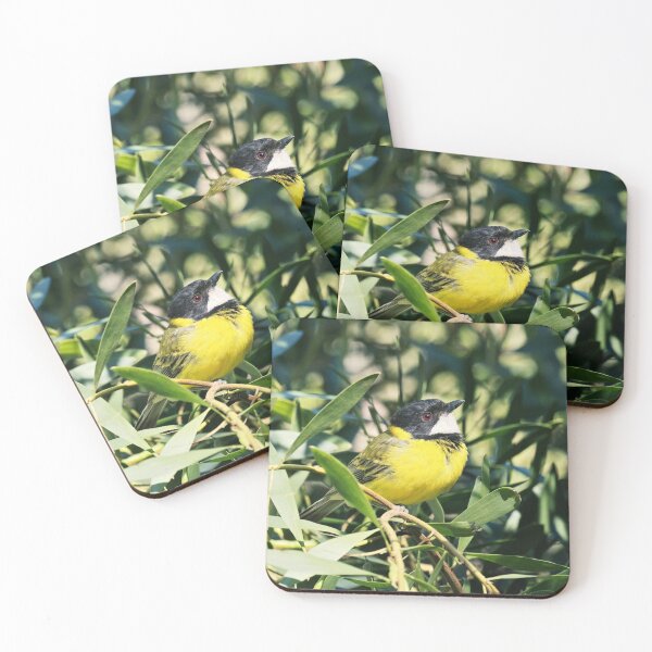 Item preview, Male golden whistler in a bright sunny day designed and sold by hendrikspix.