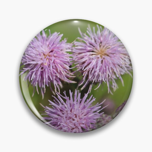 Artikelvorschau, Lila Poof Blumen entworfen und verkauft von KsbAesthetics.