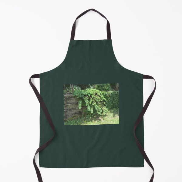 Item preview, Plants Hanging over a Wall designed and sold by Mariann Moritz.