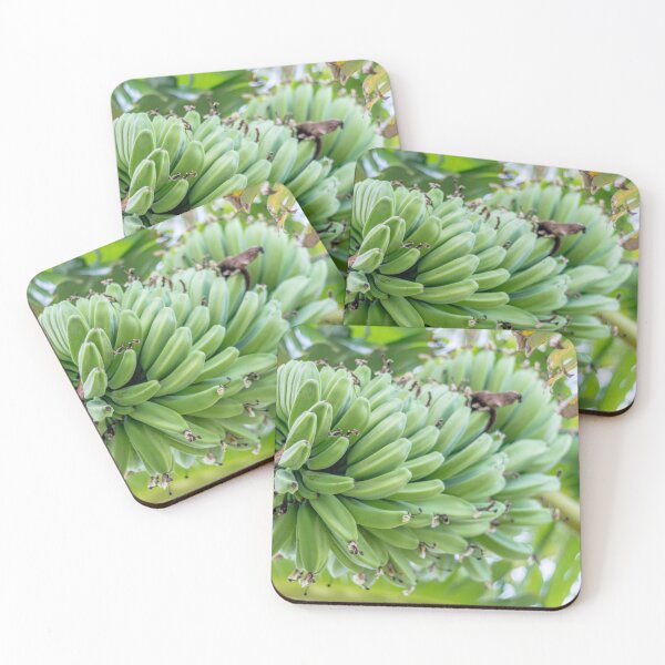 Item preview, Fresh bunch of banana ready for take designed and sold by alokojha.