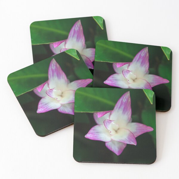 Item preview, Close Up of a Pink Calathea flower  designed and sold by SvetlanaSF.