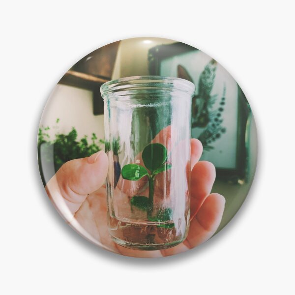 Item preview, Peperomia Hope-Propagation designed and sold by grdnstplantmom.