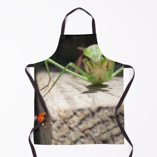 Item preview, Mantis and Ladybug designed and sold by DuskWingArts.