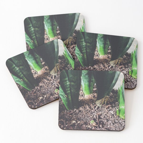 Item preview, Grow Where You Are Planted designed and sold by grdnstplantmom.