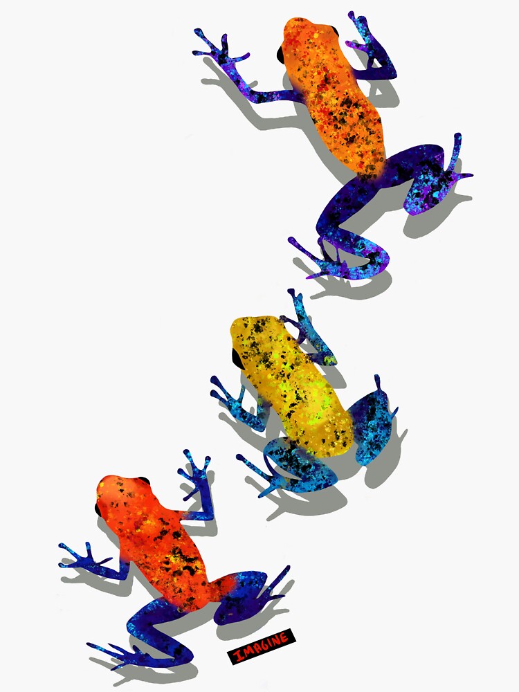 "Dart Frogs " Sticker for Sale by SpencerDubois9 Redbubble