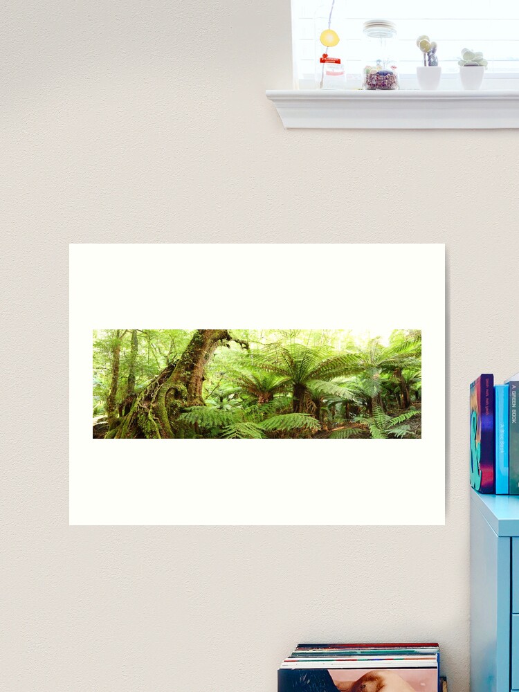 Thumbnail 2 of 3, Art Print, Myrtle Tree, Tarra Bulga National Park, Australia designed and sold by Chockstone.