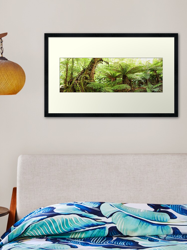 Thumbnail 2 of 7, Framed Art Print, Myrtle Tree, Tarra Bulga National Park, Australia designed and sold by Chockstone.