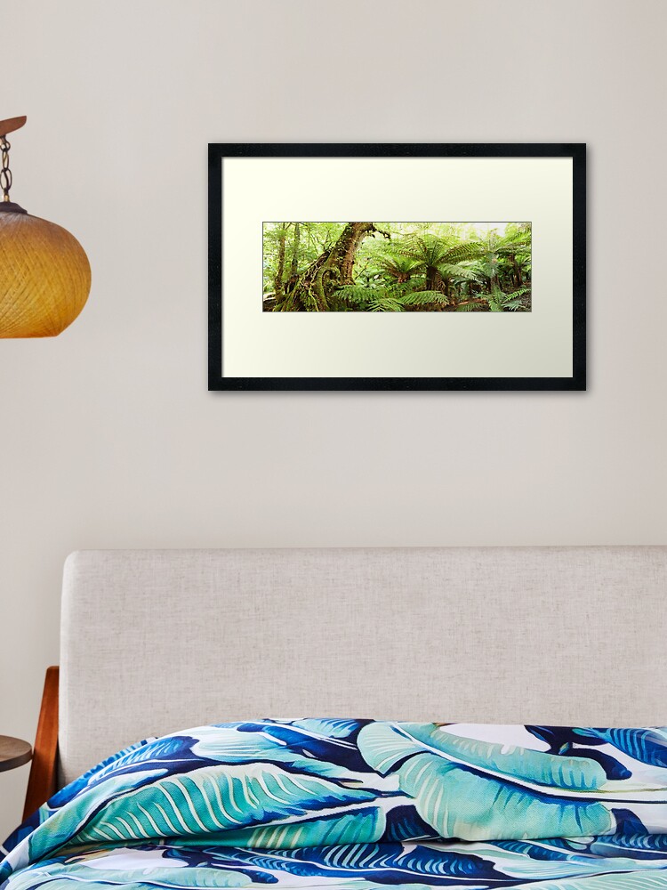 Thumbnail 2 of 7, Framed Art Print, Myrtle Tree, Tarra Bulga National Park, Australia designed and sold by Chockstone.