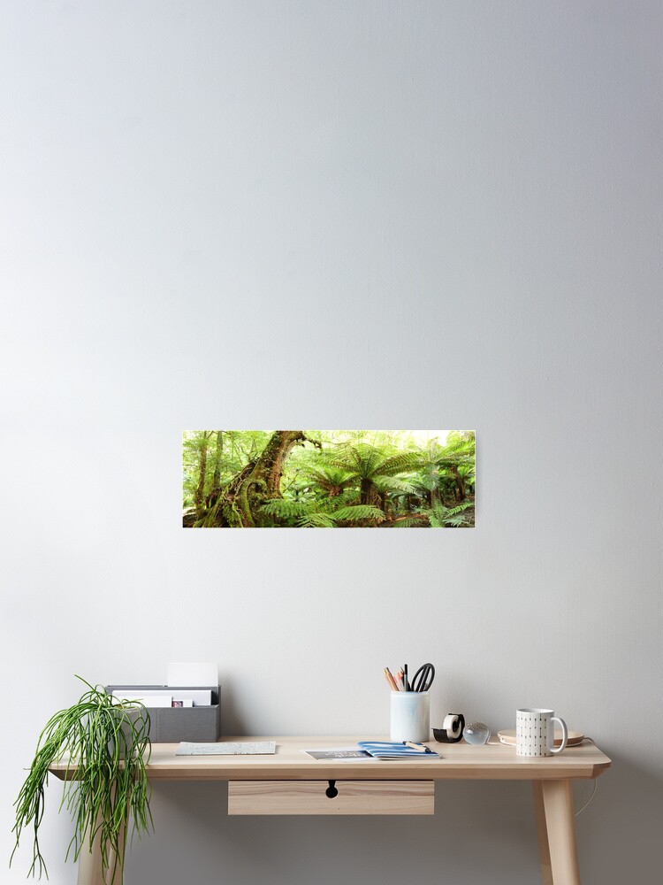 Thumbnail 2 of 3, Poster, Myrtle Tree, Tarra Bulga National Park, Australia designed and sold by Chockstone.
