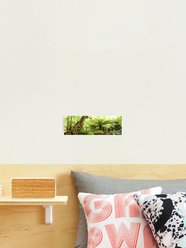 Thumbnail 2 of 3, Photographic Print, Myrtle Tree, Tarra Bulga National Park, Australia designed and sold by Chockstone.