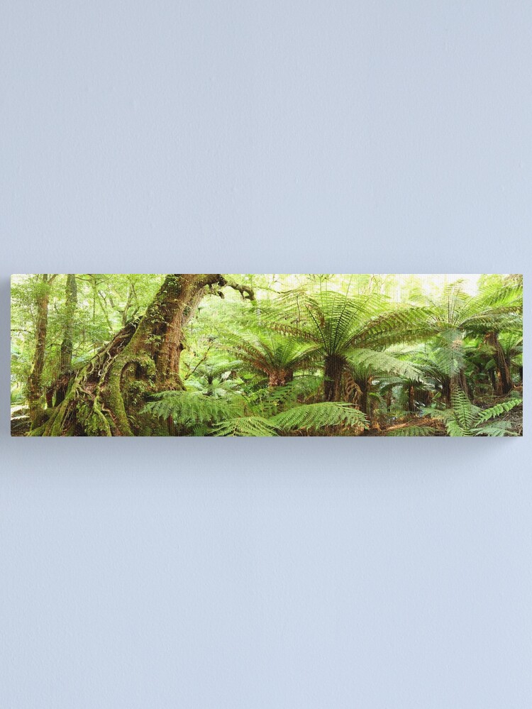 Thumbnail 1 of 3, Canvas Print, Myrtle Tree, Tarra Bulga National Park, Australia designed and sold by Chockstone.