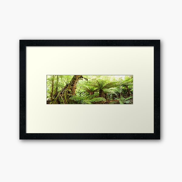 Framed Art Print