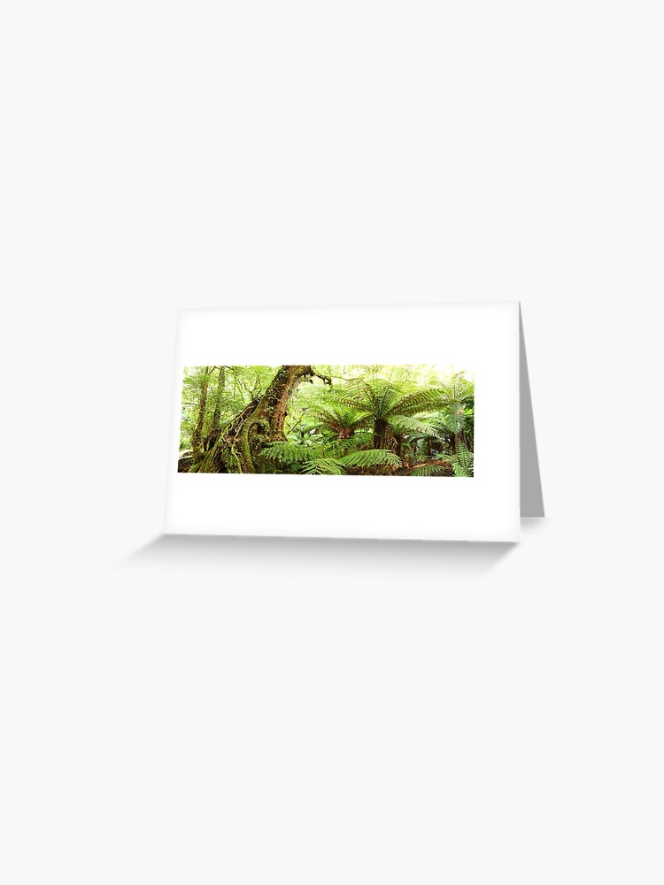 Thumbnail 1 of 2, Greeting Card, Myrtle Tree, Tarra Bulga National Park, Australia designed and sold by Chockstone.