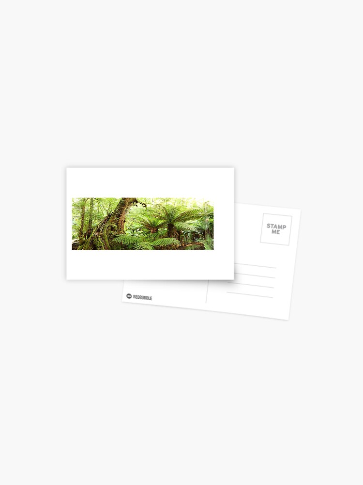 Thumbnail 1 of 2, Postcard, Myrtle Tree, Tarra Bulga National Park, Australia designed and sold by Chockstone.