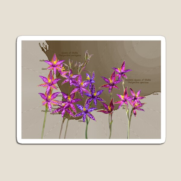 Map SW with Queen of Sheba Orchids Magnet