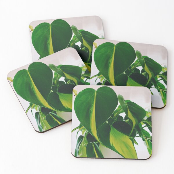 Item preview, Philodendron Brasil 2 designed and sold by grdnstplantmom.