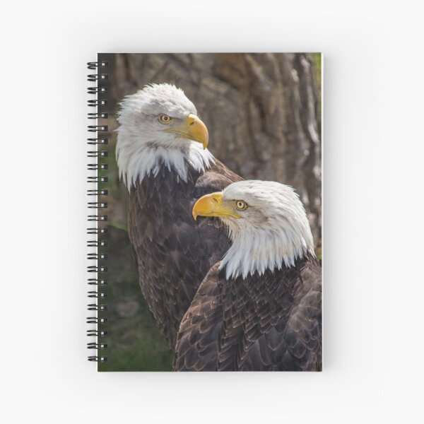 Two Eagles Spiral Notebook