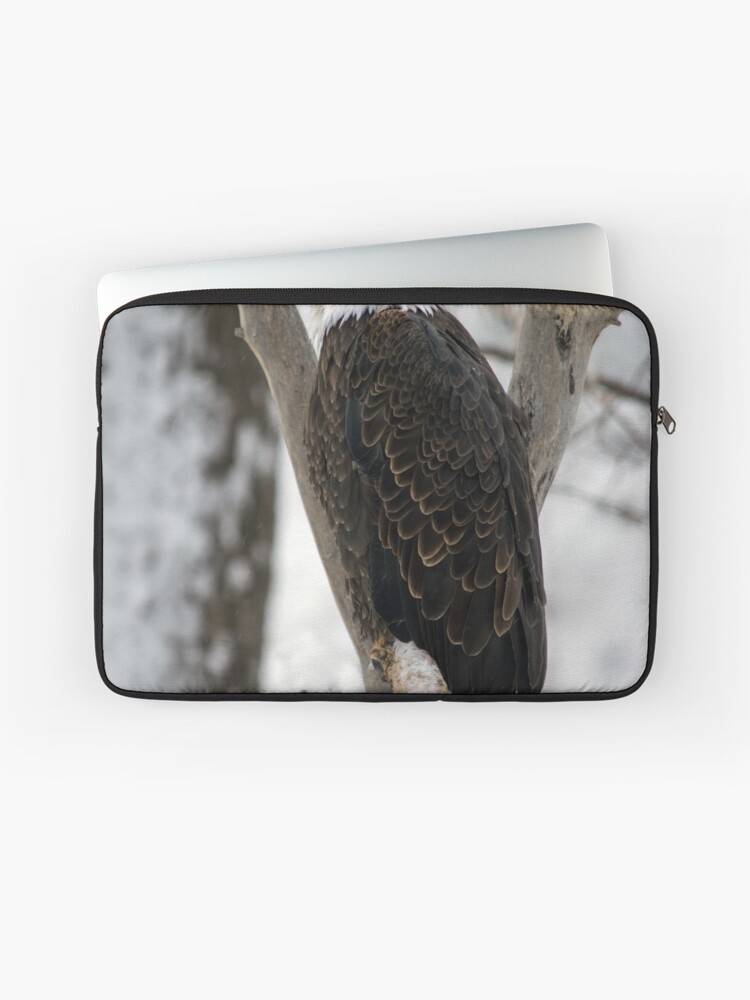 Thumbnail 1 of 2, Laptop Sleeve, An Eagle in Winter designed and sold by Jerry Walter.