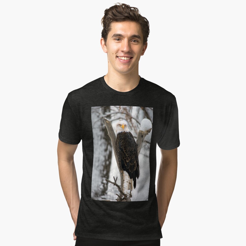 Item preview, Tri-blend T-Shirt designed and sold by jwwalter.