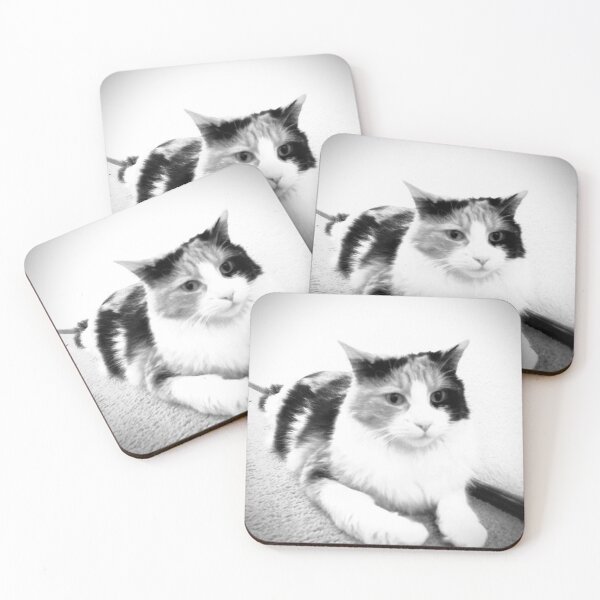 Item preview, Expectant Calico in black and white designed and sold by TmartUS.