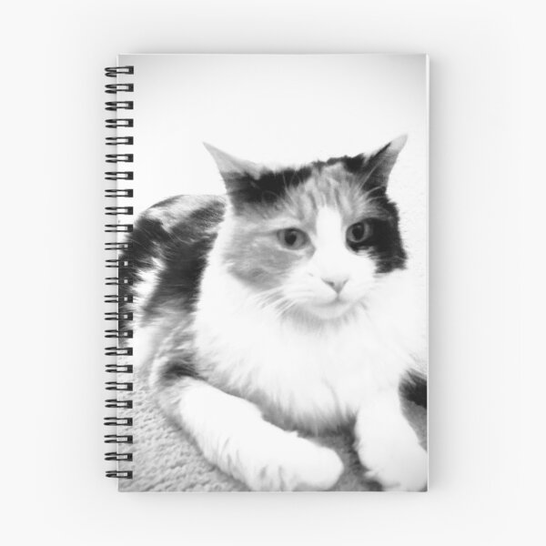 Item preview, Expectant Calico in black and white designed and sold by TM Art.