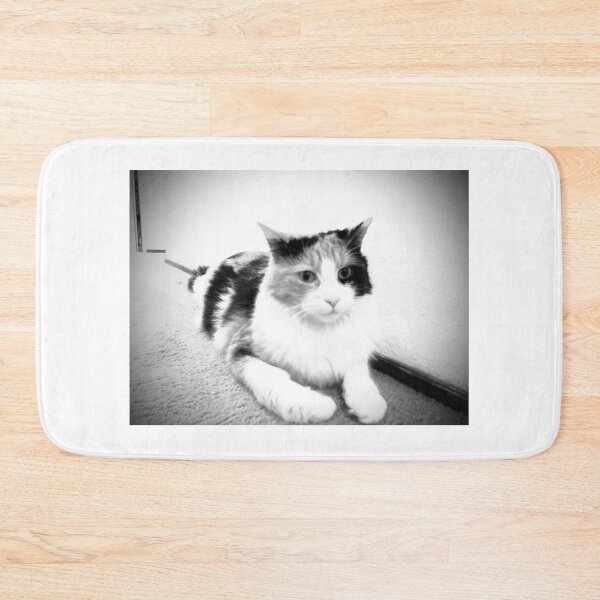 Item preview, Expectant Calico in black and white designed and sold by TM Art.