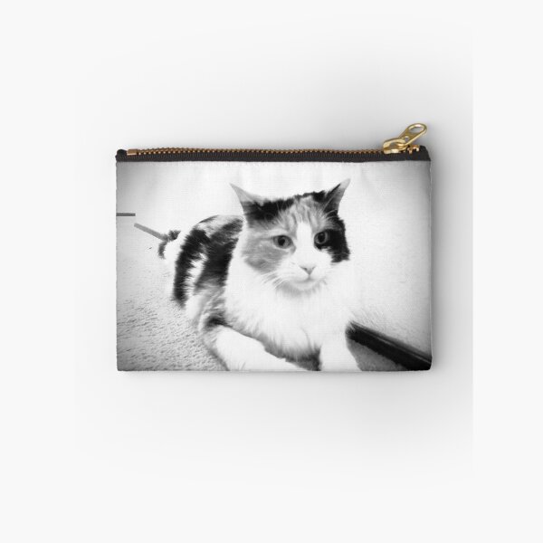 Item preview, Expectant Calico in black and white designed and sold by TmartUS.