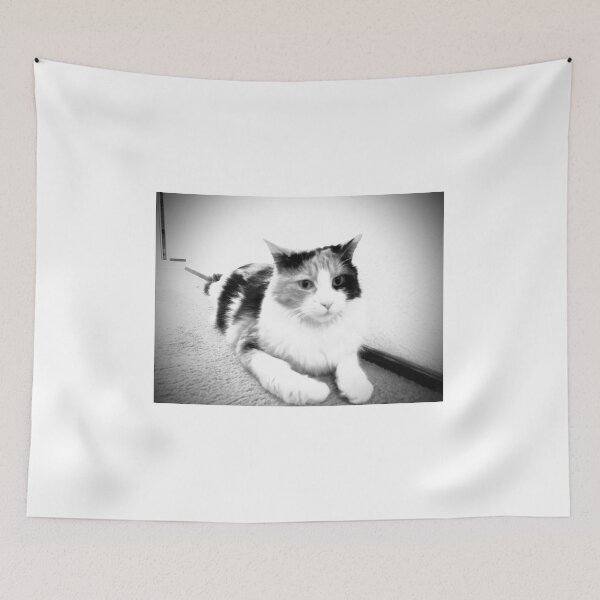 Item preview, Expectant Calico in black and white designed and sold by TmartUS.