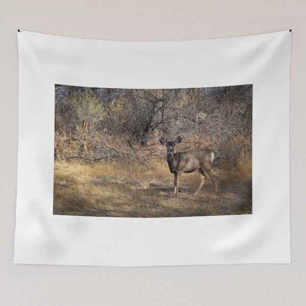 Item preview, A Beautiful Mule Deer designed and sold by Jaime Miller.