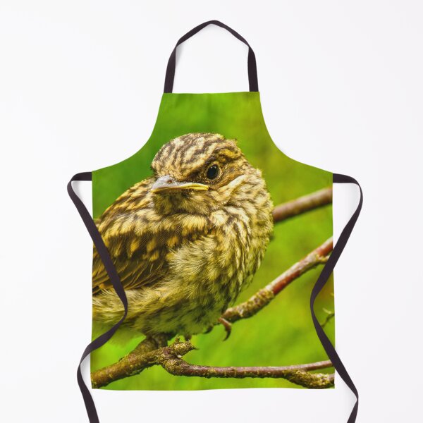 Item preview, Young thrush in the beautiful plumage designed and sold by yarvin13.