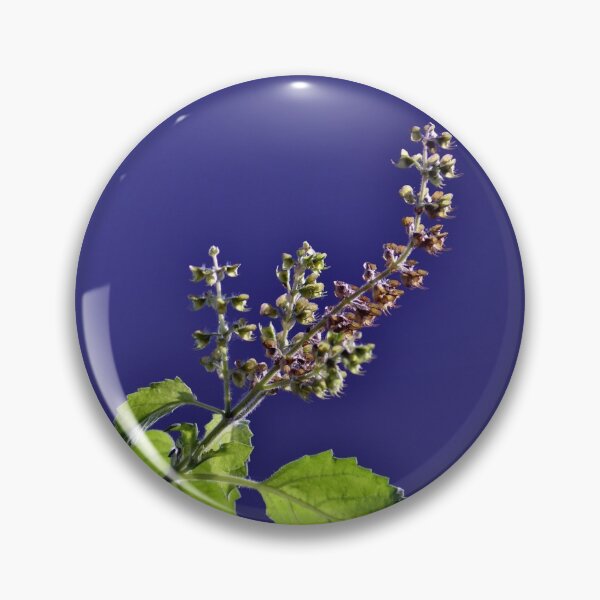 Item preview, Basil designed and sold by VeenaNair23.