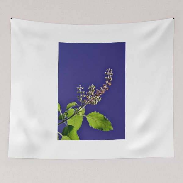 Item preview, Basil designed and sold by VeenaNair23.
