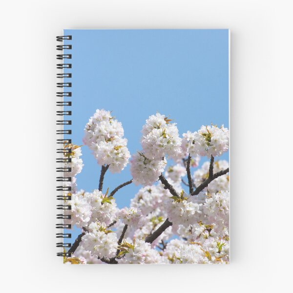 Item preview, Hanami designed and sold by Shane Bonnell.