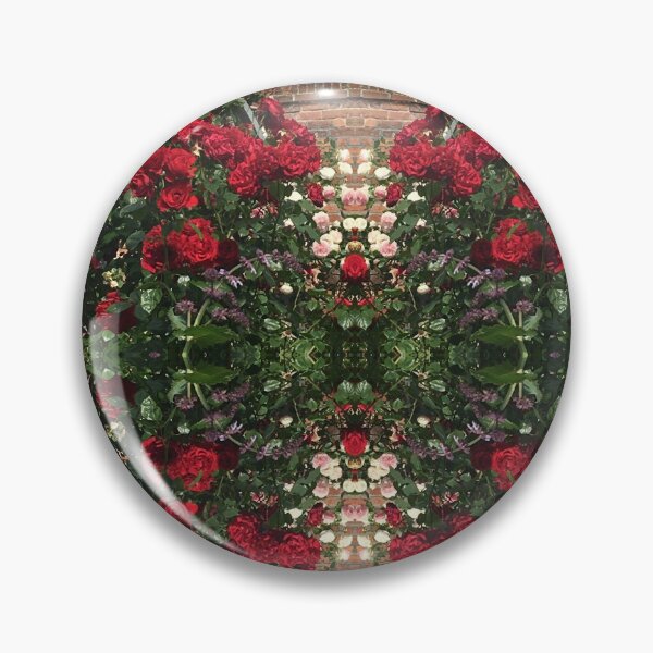 Item preview, From Dublin Bay, Erin to Tasmania - Scarlet Roses with a Pierre de Ronsard Heart designed and sold by RoseAromas.