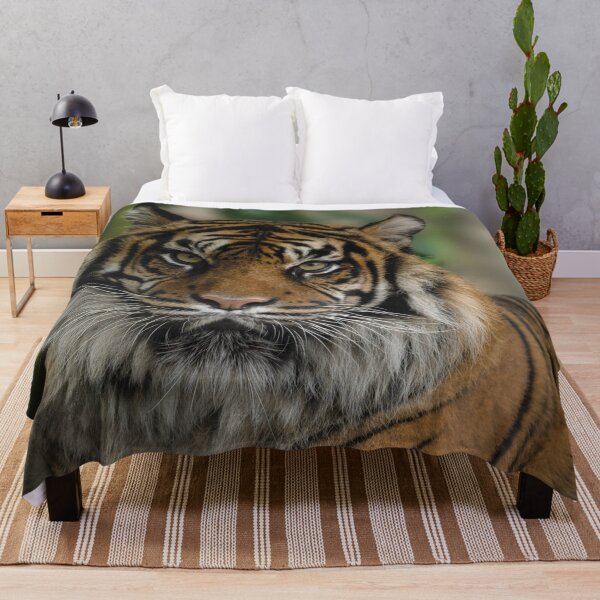 Item preview, Sumatran Tiger Close-Up designed and sold by rawshutterbug.
