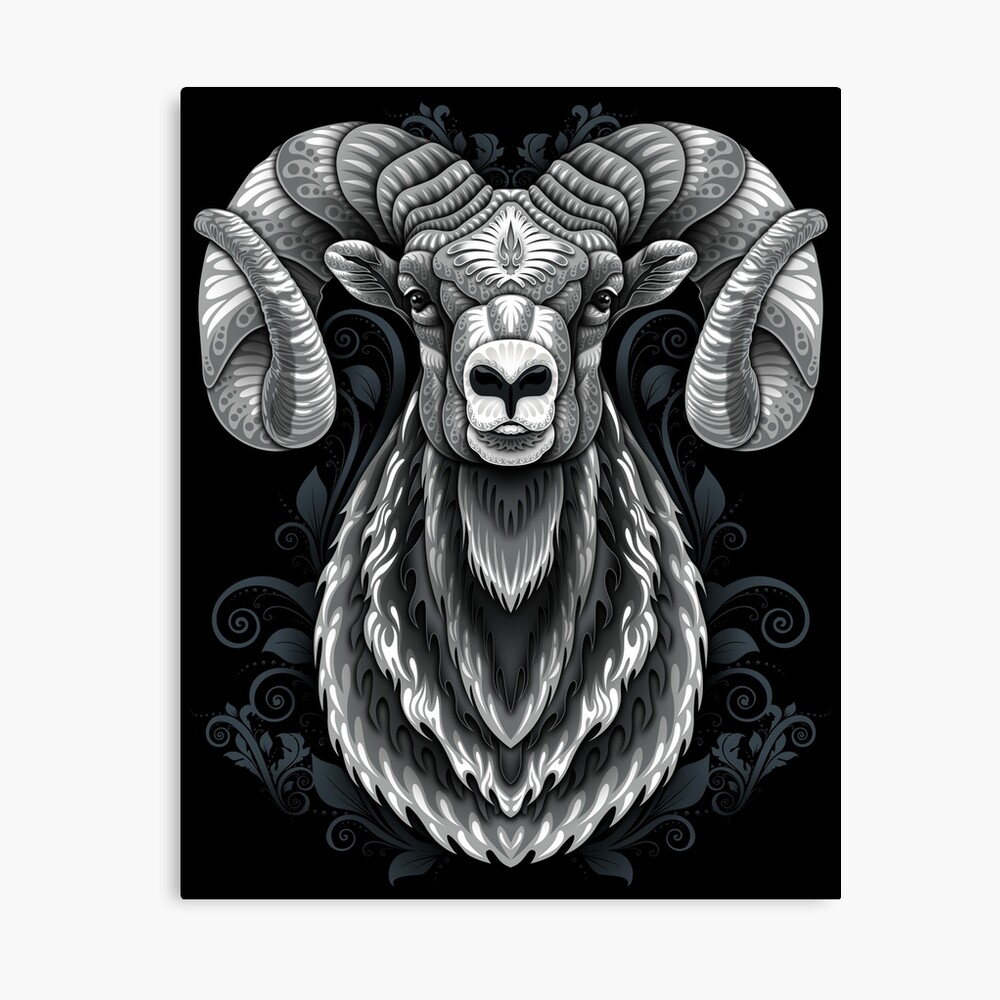 Bighorn sheep illustration hires stock photography and images  Alamy