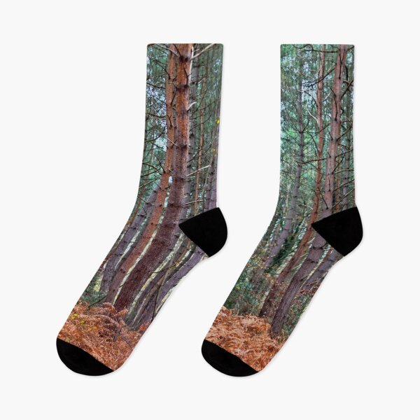 Item preview, Redwood Forest designed and sold by chihuahuashower.