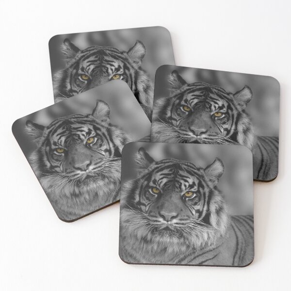 Item preview, Sumatran Tiger Colour Pop designed and sold by rawshutterbug.